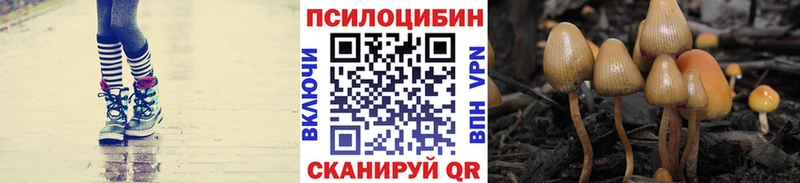 Псилоцибиновые грибы GOLDEN TEACHER сколько стоит Собинка