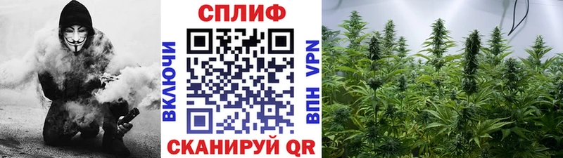 купить закладку  Собинка  площадка Telegram  Бошки Шишки THC 21% 